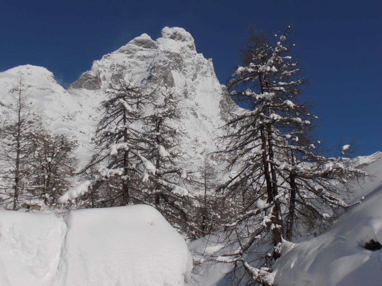 Hotel Lyskamm Breuil-Cervinia Eksteriør billede